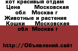 кот красивый отдам  › Цена ­ 0 - Московская обл., Москва г. Животные и растения » Кошки   . Московская обл.,Москва г.